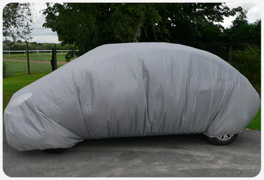 Disposable Car Covers